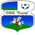 HO88 FC Slutsk