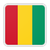 BOM88 Guinea