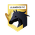 VK88 Llaneros W