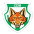 NET88 Acambaro FC