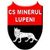 BU88 Minerul Lupeni
