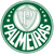 DU88 Palmeiras Sao Joao da Boa Vista U20