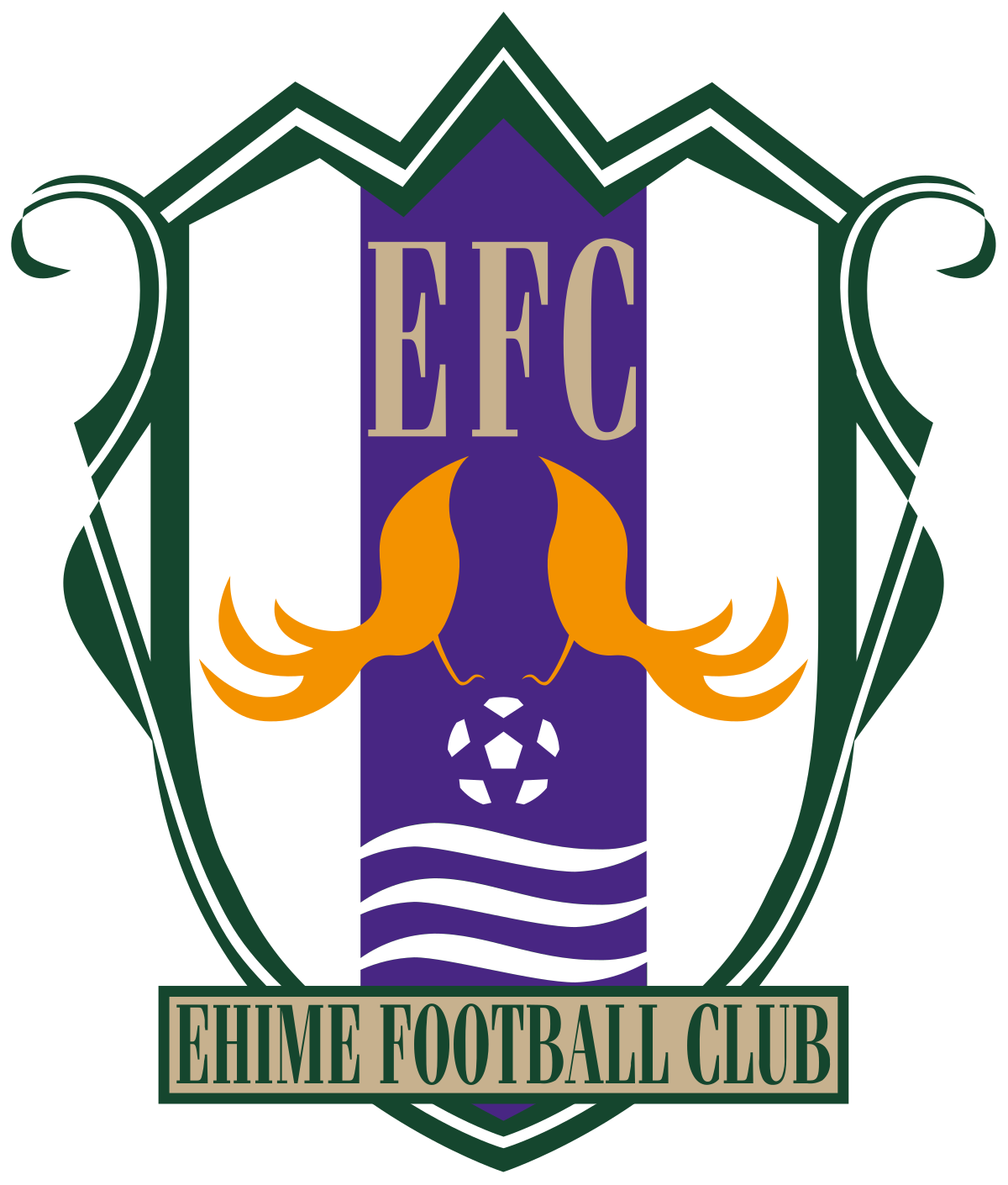 Ehime FC