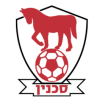 Hapoel Bnei Sakhnin