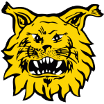 FC Ilves