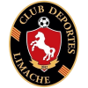 Deportes Limache