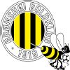 Bronshoj
