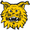 Ilves W