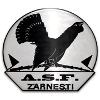 Olimpic Zarnesti