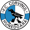 Cornivul Hunedoara
