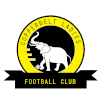 Copper Belts FC W