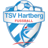 FSC Hochegger Dacher